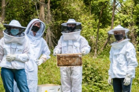 Beekeeping Comes to MFS