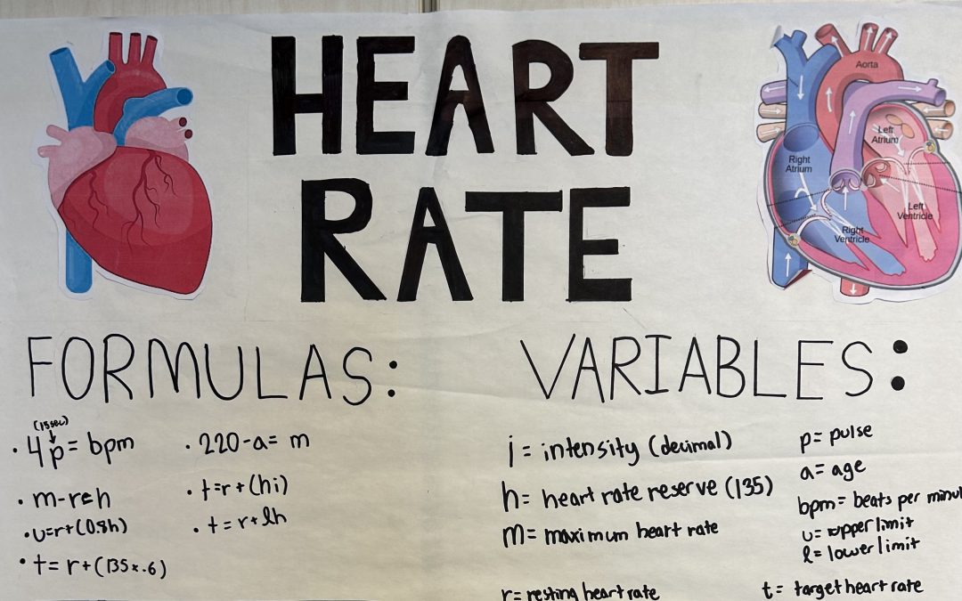 Seventh Grade Honors Algebra Students Get To The Heart of Equations