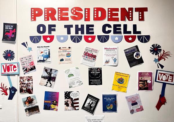 Eighth Grade Participates in President of the Cell Race