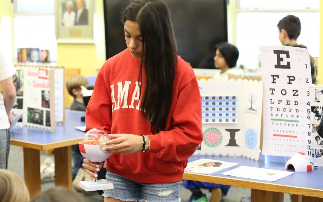 Seventh Graders Host Pop-Up Children’s Museum Focusing on Equality, Equity, and Empathy